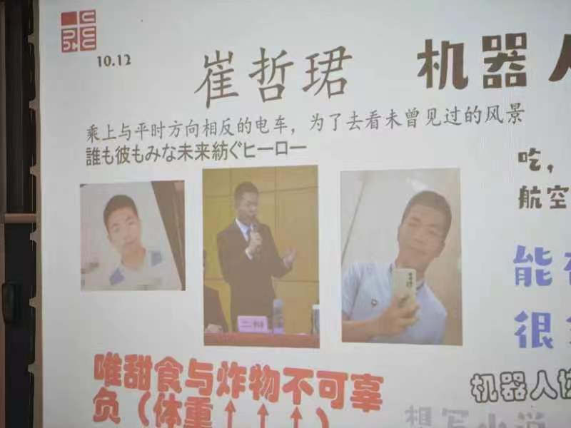 一只可爱的小猫