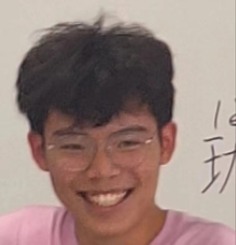 一只可爱的小猫